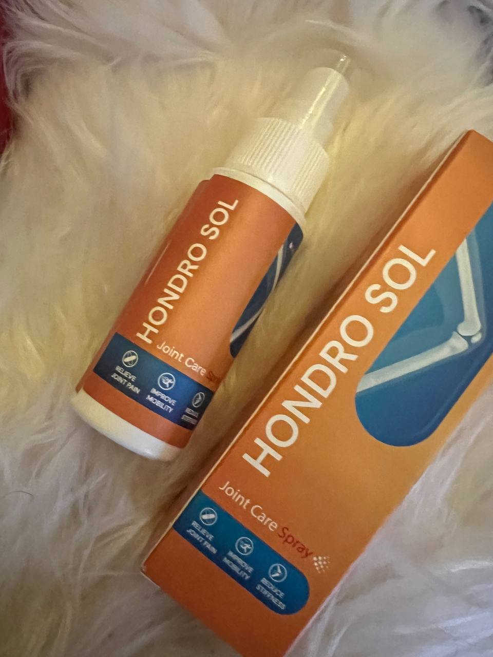 photo_2023-12-19 12.47.07